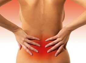 The causes of Spy in the lower back